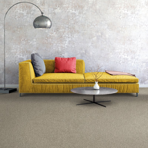 Genoa Custom Interiors providing easy stain-resistant pet friendly carpet in Genoa, OH - Inspiring Option I -  Organic